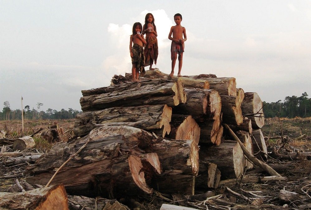 Children in Indonesia on a log pile depicting deforestation