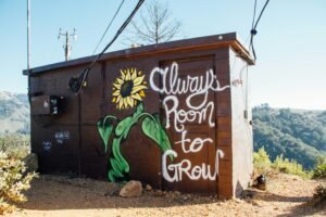 Brown shed with desert background with graffiti saying Always be Ready to Grow